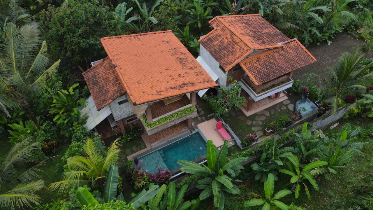 D'Nanda Villa อูบุด ภายนอก รูปภาพ