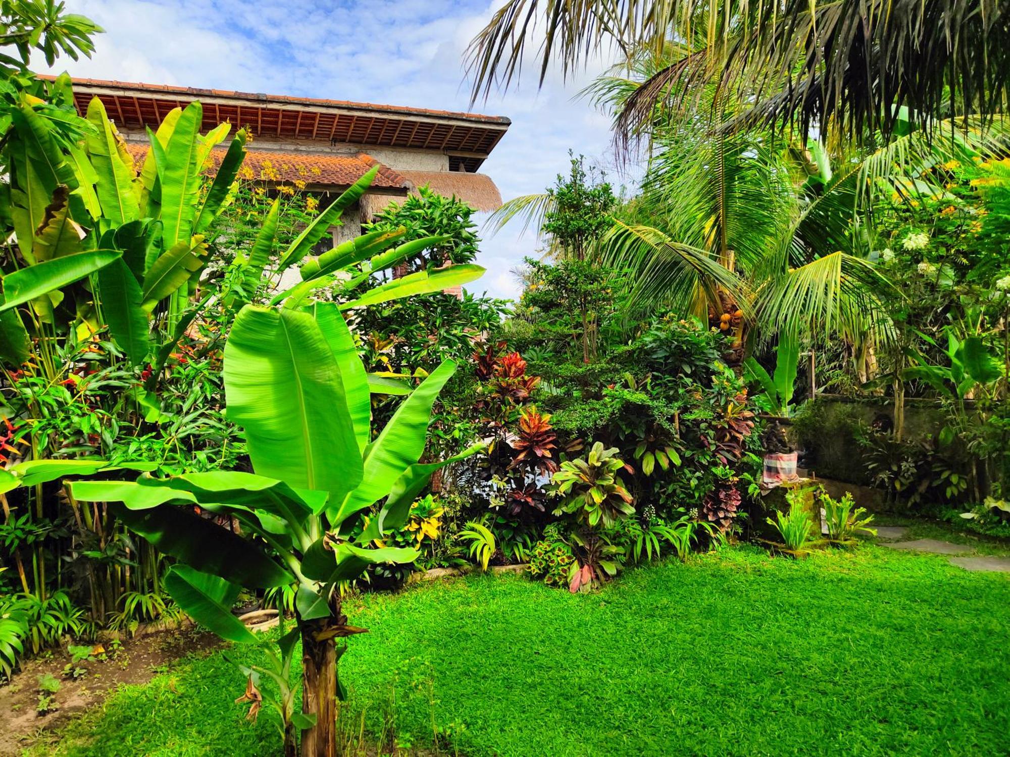 D'Nanda Villa อูบุด ภายนอก รูปภาพ