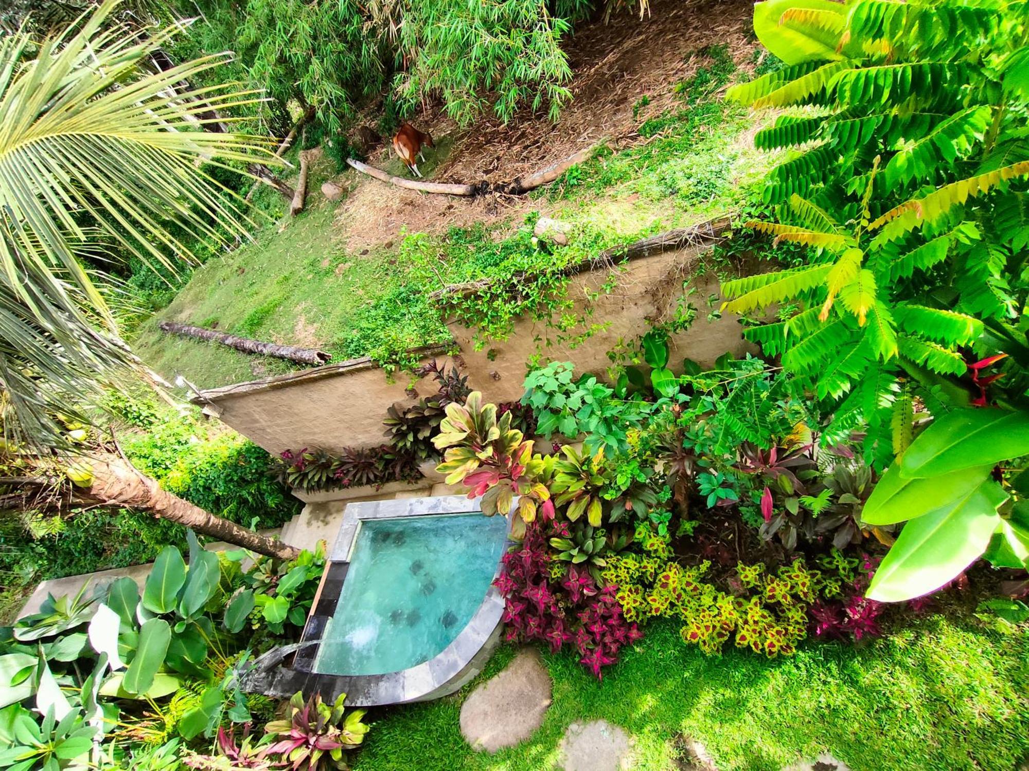 D'Nanda Villa อูบุด ภายนอก รูปภาพ