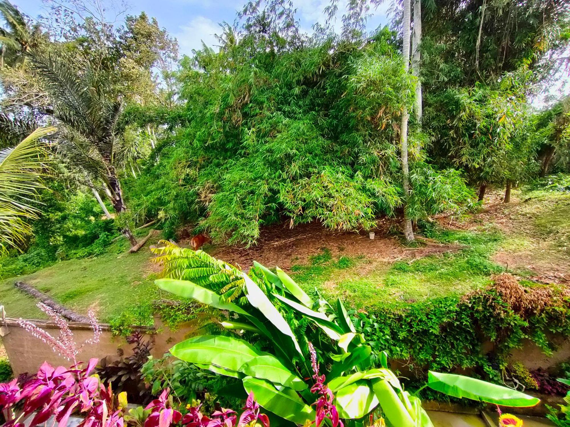 D'Nanda Villa อูบุด ห้อง รูปภาพ