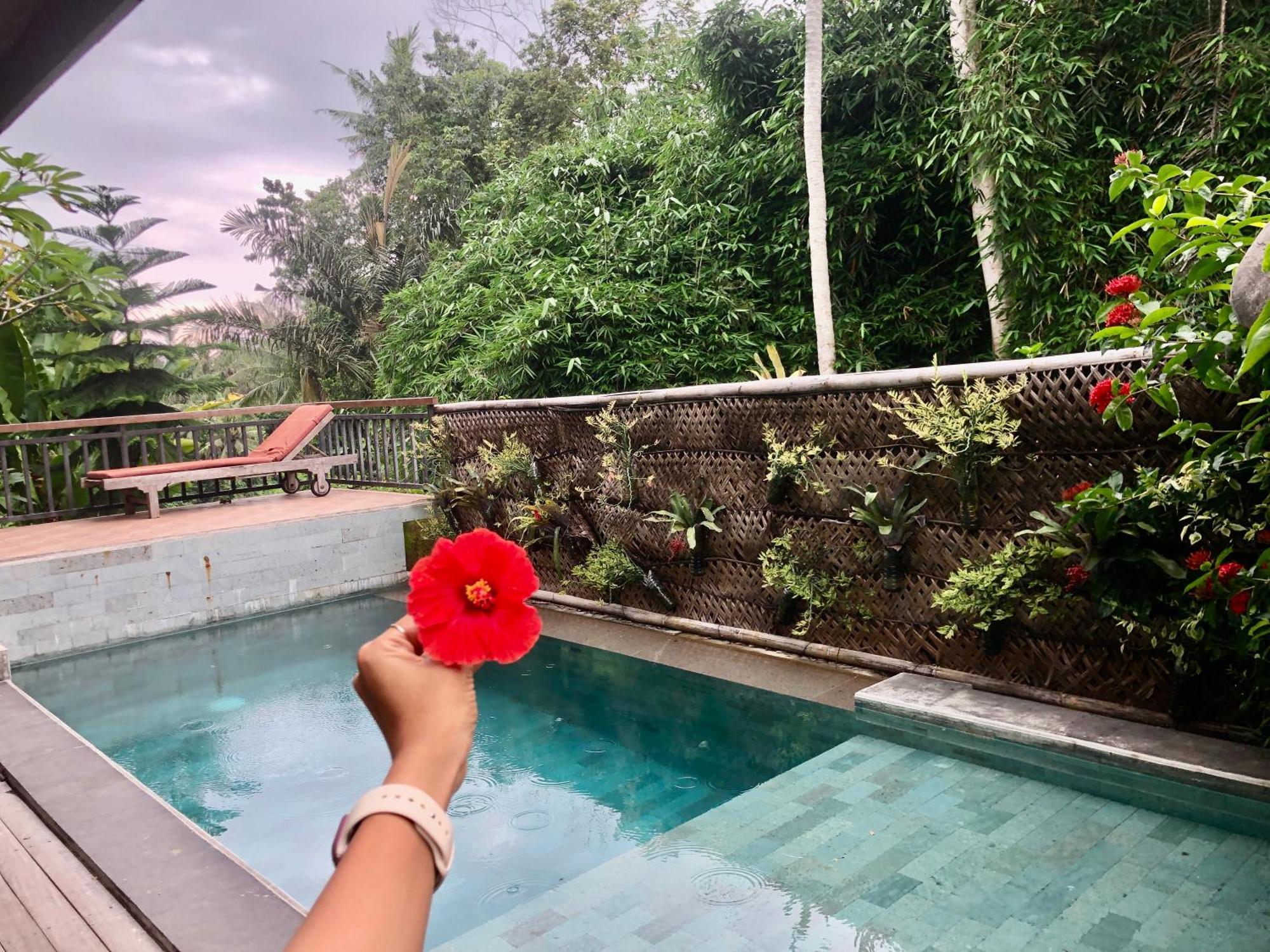 D'Nanda Villa อูบุด ภายนอก รูปภาพ